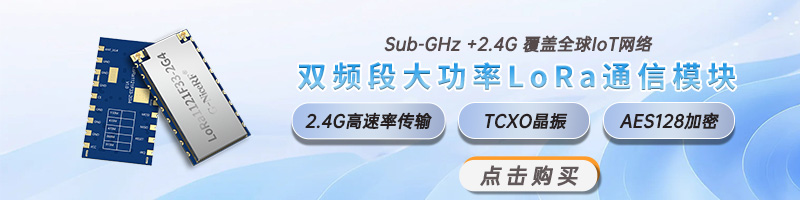 lora1121F33-2G4